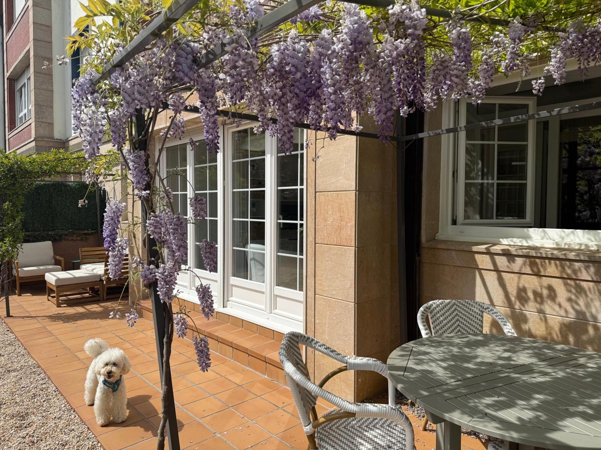 Bakea Apto Con Jardin Privado Bakio Buitenkant foto